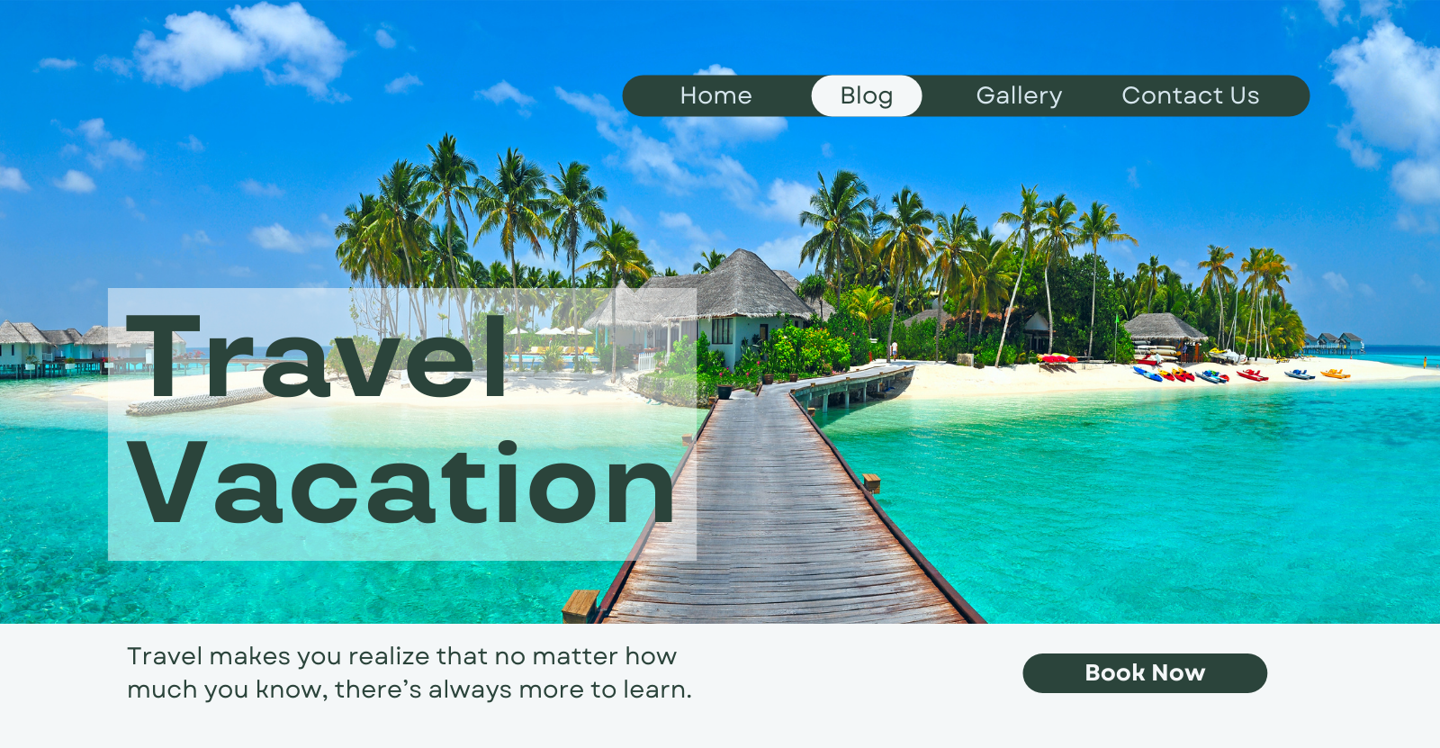 Travel Website